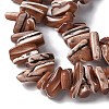 Dyed Natural Trochus Shell Beads Strands SSHEL-C013-09B-3