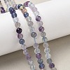 Natural Fluorite Beads Strands G-F717-10-5