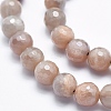 Electroplate Natural Sunstone Beads Strands G-K256-17-8mm-3