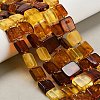 Natural Amber Beads Strands G-C260-A01-02-1