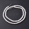 Shell Pearl Bead Strands BSHE-P023-3mm-2