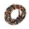 Natural Alashan Agate Beads Strands G-C181-B05-02-01-5