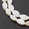 Natural Freshwater Shell Beads Strands BSHE-E028-03-4