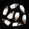 Natural Trochid Shell/Trochus Pendants SSHEL-N027-126-1