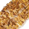 Natural Amber Beads Strands G-L095-D01-01-2