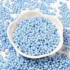 Opaque Colours Luster Glass Seed Beads SEED-B001-01A-07-2