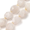 Natural Rainbow Moonstone Beads Strands G-P541-A01-01-1