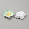 Two Tone Resin Cabochons LS-RESI-WH20010-01B-2