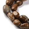 Natural Picture Jasper Beads Strands G-G146-A01-01-4