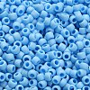 TOHO 6/0 Round Beads SEED-XTR06-0403F-4