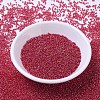 MIYUKI Round Rocailles Beads X-SEED-G007-RR0298-2
