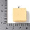 Opaque Resin Pendants RESI-Z033-02P-D-3