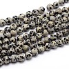 Natural Dalmatian Jasper Round Bead Strands X-G-J303-19-6mm-1