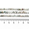 Natural Tree Agate Beads Strands G-RM250104-D6-5
