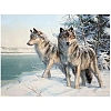 Wolf DIY Diamond Painting Kits PW-WGA286A-01-1