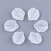 Transparent Acrylic Pendants FACR-T001-13-1