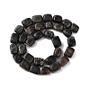 Natural Biotite Beads Strands G-D098-D15-3
