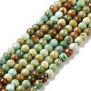 Natural HuBei Turquoise Round Beads Strands G-A025-03C-1