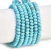 Dyed Natural Howlite Beads Strands G-H070-A03-01-1