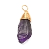 Natural Amethyst Pendants PALLOY-JF01049-2