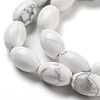 Natural Howlite Beads Strands G-B106-B25-01-4