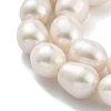 Natural Cultured Freshwater Pearl Beads Strands PEAR-P062-13E-X-4