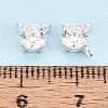 925 Sterling Silver Micro Pave Clear Cubic Zirconia Charms STER-N017-17A-S-4