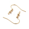 316 Surgical Stainless Steel French Earring Hooks STAS-H216-22G-2
