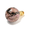 Natural Rhodonite Perfume Bottle Pendants G-K338-22G-04-2