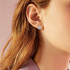 12Pcs 2 Colors 304 Stainless Steel Cuff Earrings EJEW-HS0001-40B-5