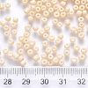 8/0 Baking Paint Glass Round Seed Beads SEED-S036-01B-19-3