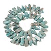 Natural Amazonite Beads Strands X-G-P619-A04-01-3