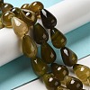 Natural Green Agate(Dyed & Heated) Beads Strands G-P521-D01-01-2