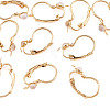 10Pcs Flat Round Brass Glass Leverback Earring Findings KK-TADJ0001-18-3
