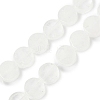 Natural Quartz Crystal Beads Strands G-M454-B03-2