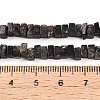 Natural Biotite Beads Strands G-T140-54-5