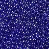 TOHO Round Seed Beads X-SEED-TR11-0116-2