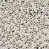 MIYUKI Delica Beads SEED-X0054-DB0883-3