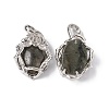 Natural Labradorite Pendants G-P484-03P-06-2