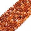 Natural Banded Agate Beads Strands G-P573-A11-01-2