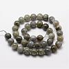 Natural Labradorite Bead Strands G-O155-05A-6mm-2