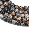 Natural Black African Opal Bead Strands G-H351-A01-01-4