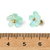 Alloy Acrylic Pendants TACR-P016-01G-14-3