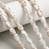 Tibetan Style dZi Beads Strands GG-CBA4812-C03-8X12MM-1