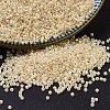 MIYUKI Delica Beads SEED-X0054-DB1560-4