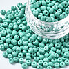 6/0 Glass Seed Beads SEED-S058-A-F439-1
