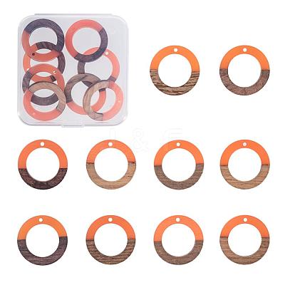 Resin & Wood Pendants RESI-OL0001-10D-1