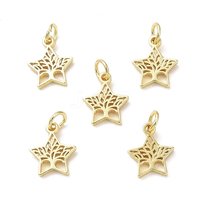 Rack Plating Brass Charms KK-F849-05G-1