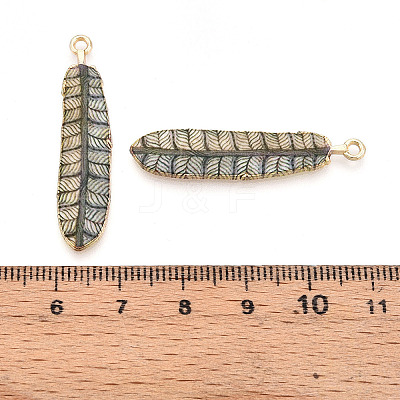 Rack Plating Alloy Pendants FIND-H043-02LG-09-1-1