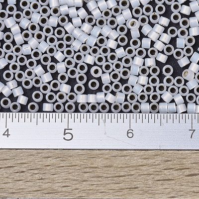 MIYUKI Delica Beads SEED-JP0008-DB0221-1